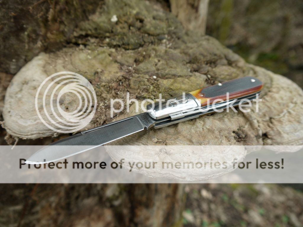 Barlow_16_small_zps7f6b9e94.jpg