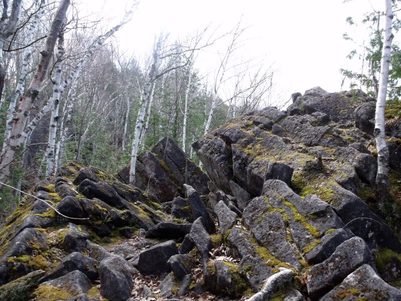 DSCF2296.jpg