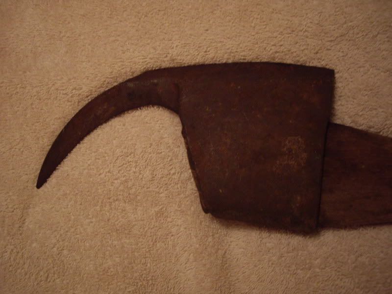 IMGP1889.jpg