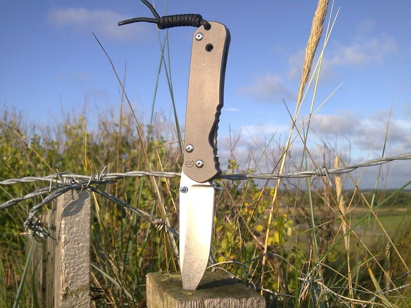 Seby005.jpg