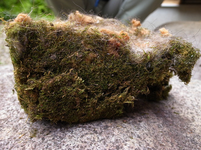 2012.05.03.R0012610.JPG