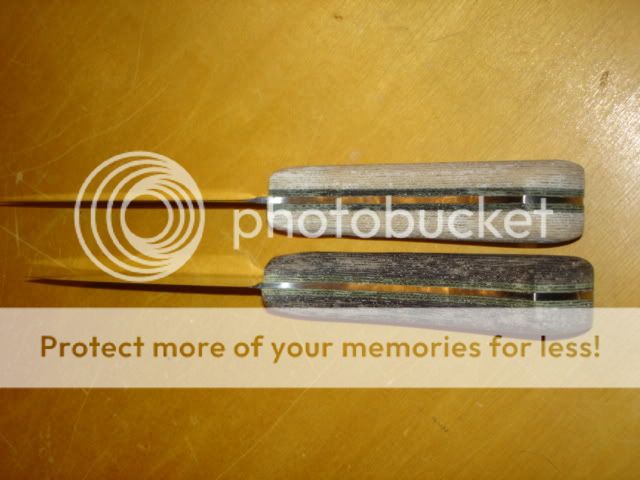 DSC02210.jpg