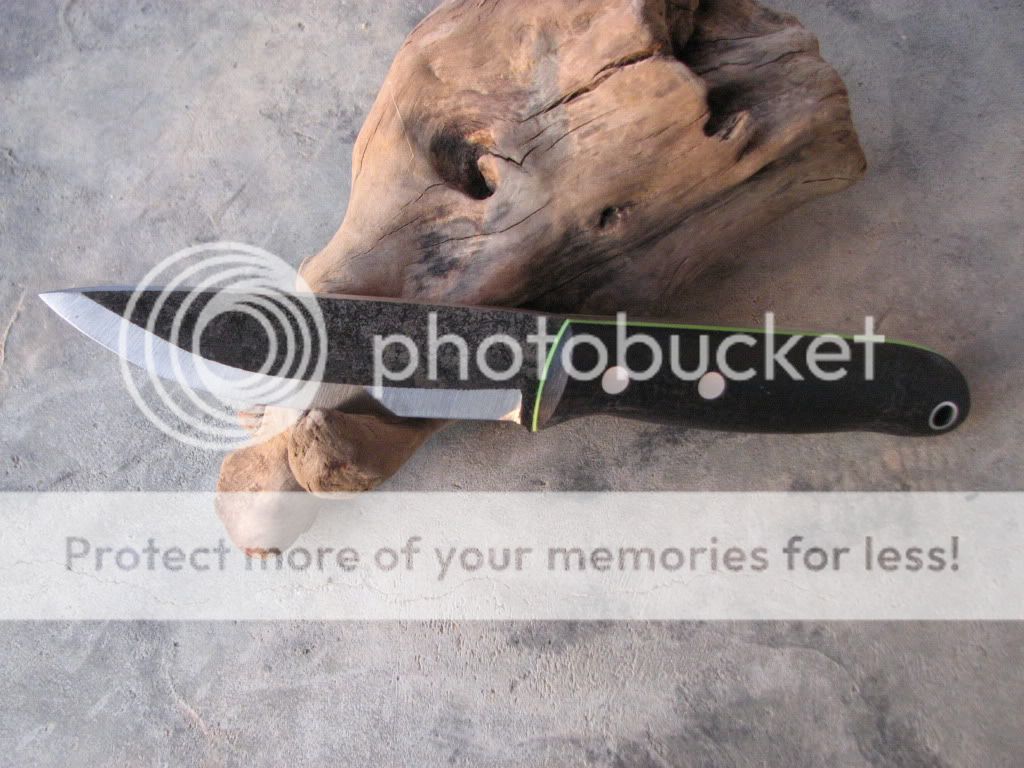 IMG_3734_zps04d334b3.jpg