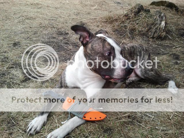 2012-03-17140453.jpg