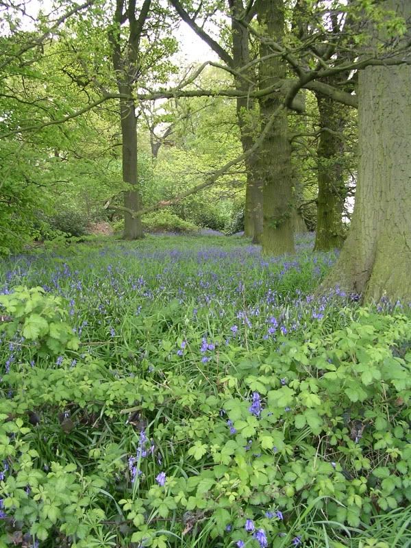 DSCN0806.jpg