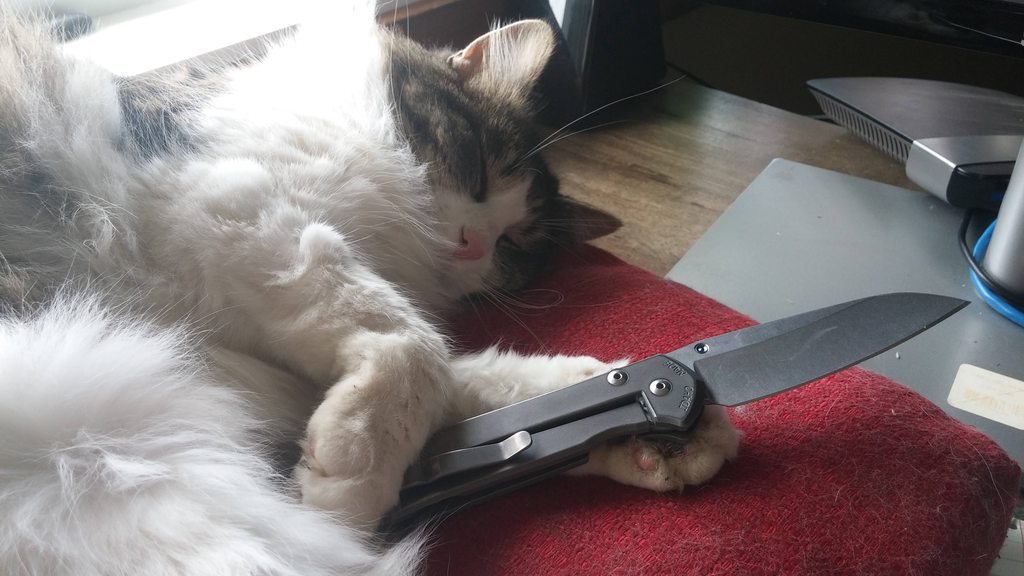 Cu8w5j0h.jpg