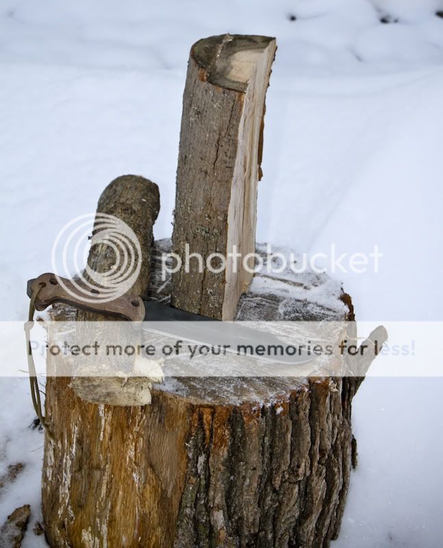 IMG_5572.jpg