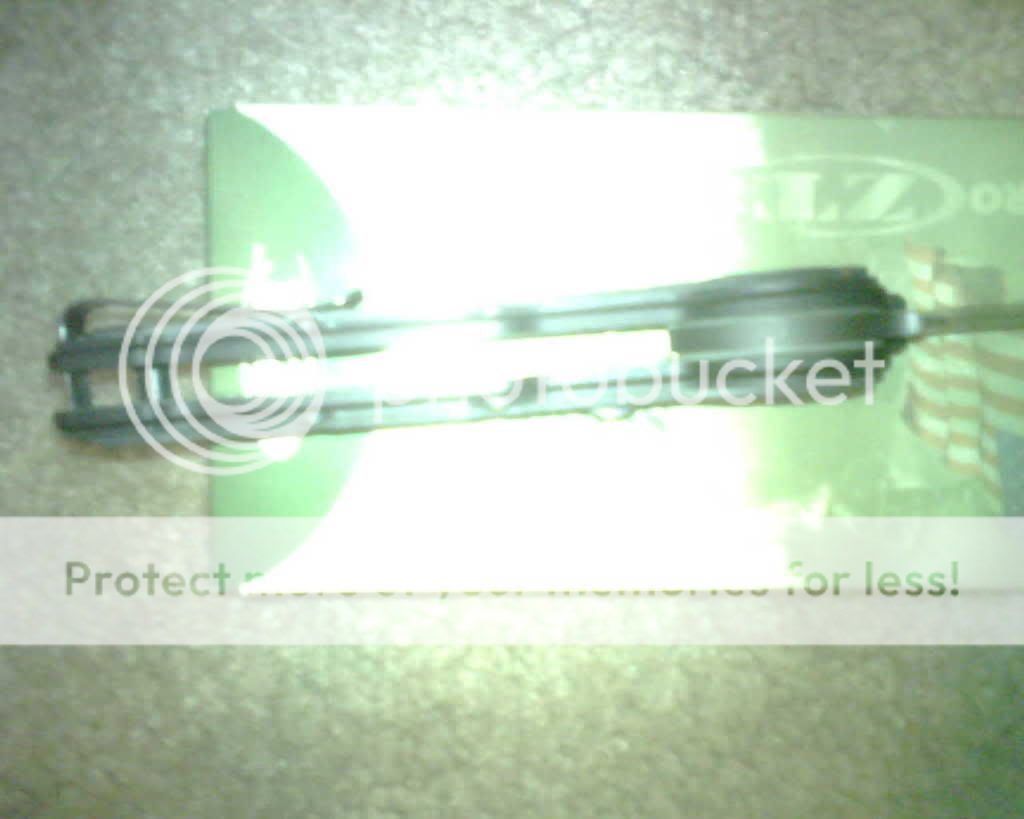 IMG00274.jpg
