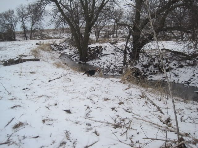 IMG_0788.jpg