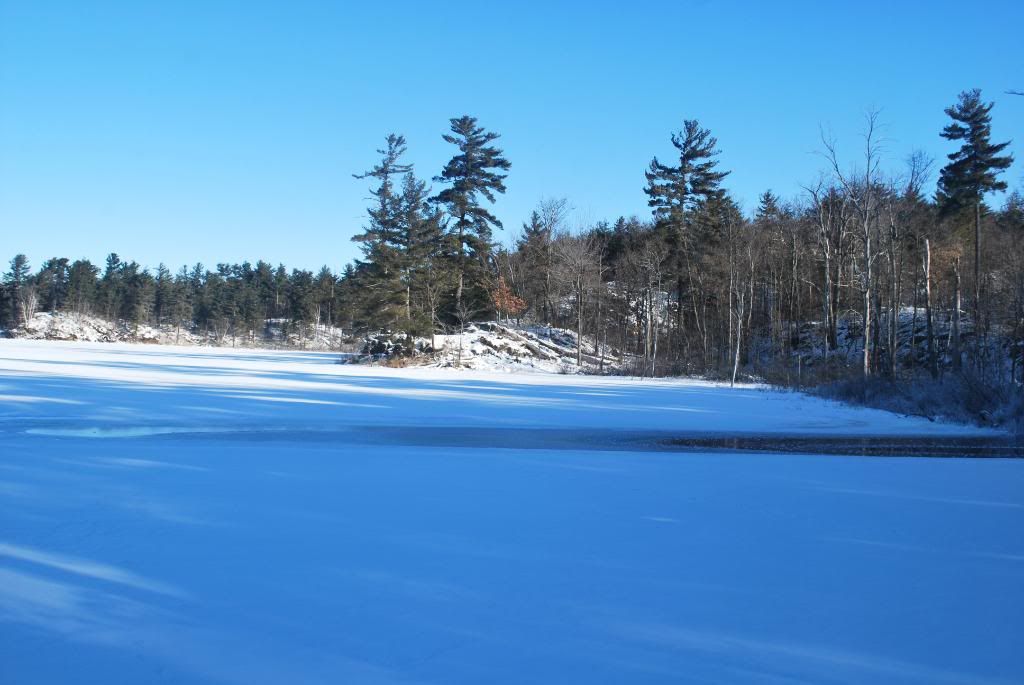 DSC_0172.jpg