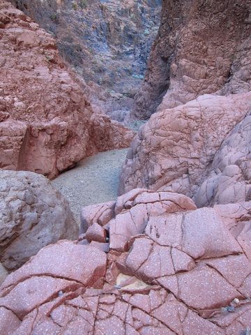 IMG_4027.jpg