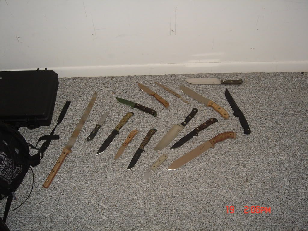 DSC03999-2.jpg