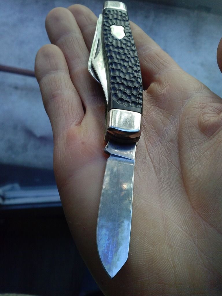 CAM02531_zpsnc7vdvac.jpg