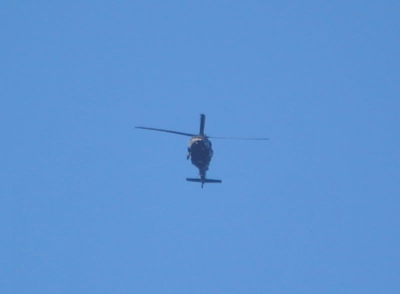 DSC_0130.jpg