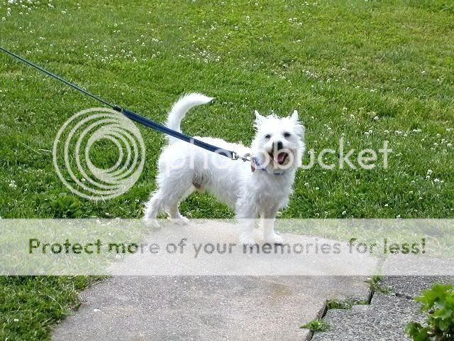 DSCN7205.jpg