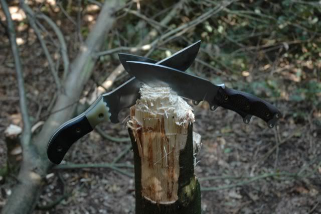 Afbeelding069.jpg