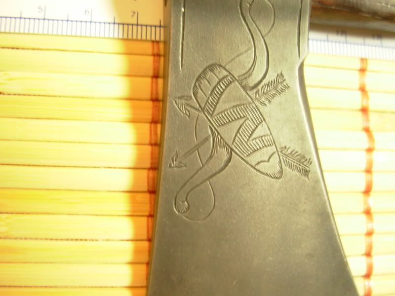 hawk027.jpg