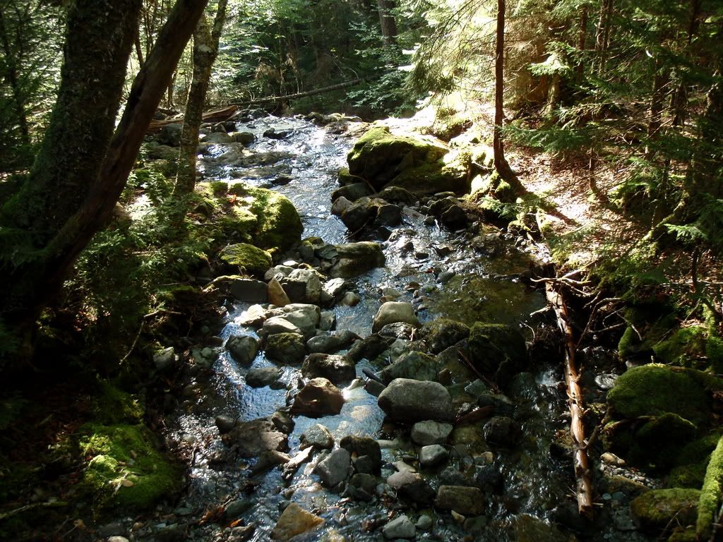 Maine08327.jpg