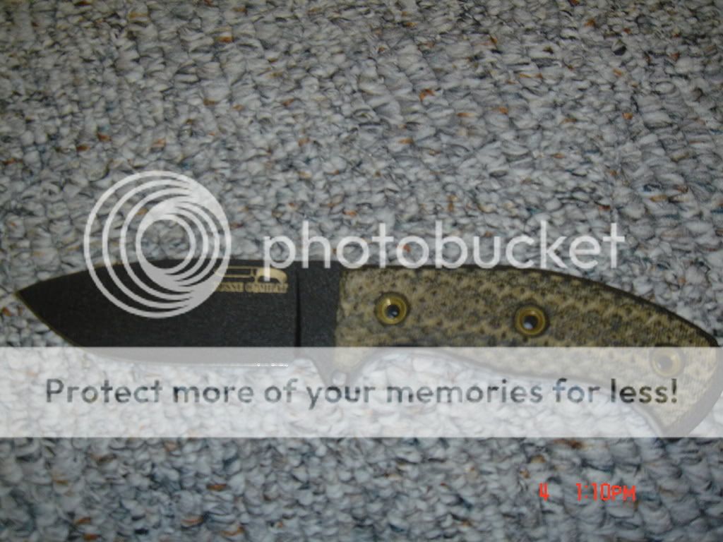DSC03913.jpg