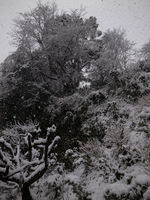 2013.01.11.R0017135.JPG