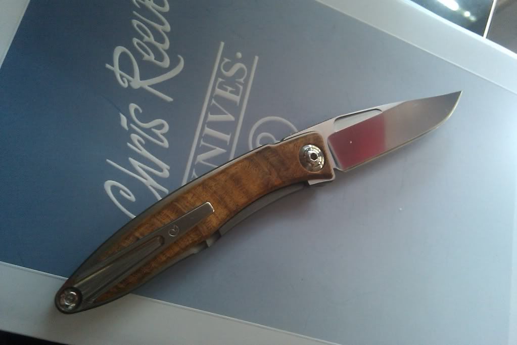 IMAG0164.jpg