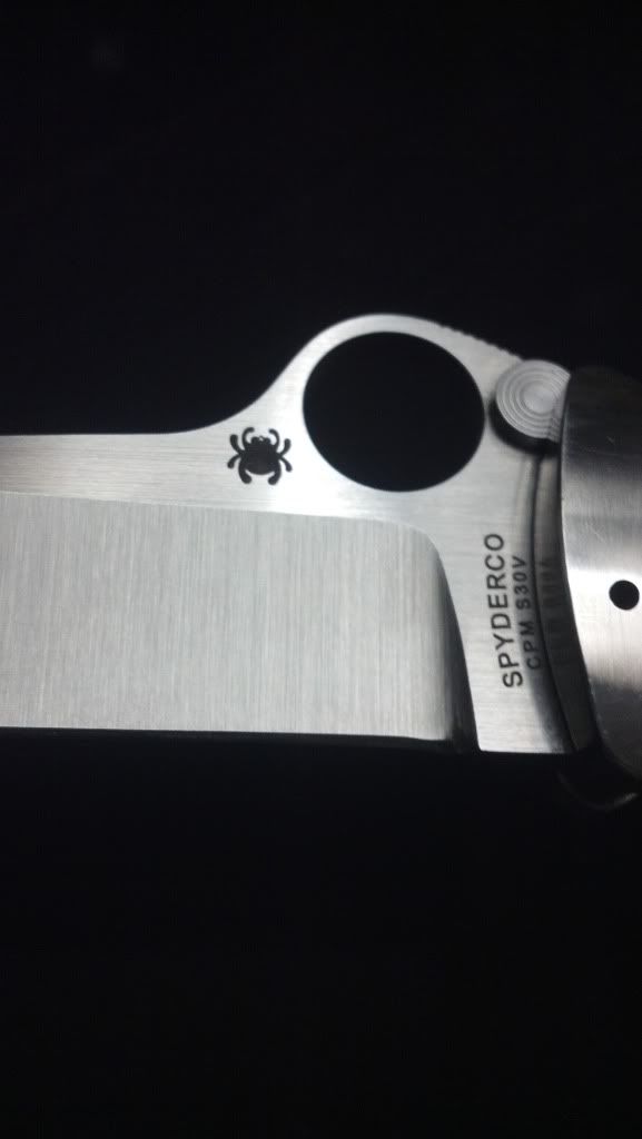 9043F0DE-orig.jpg