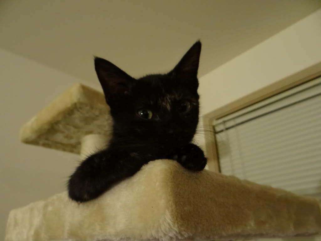 DSC01620.jpg