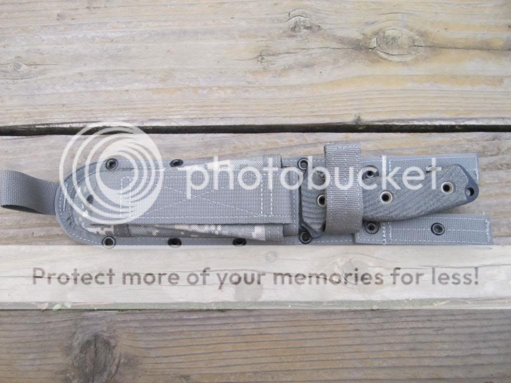 IMG_5287_zps2cf36e3c.jpg
