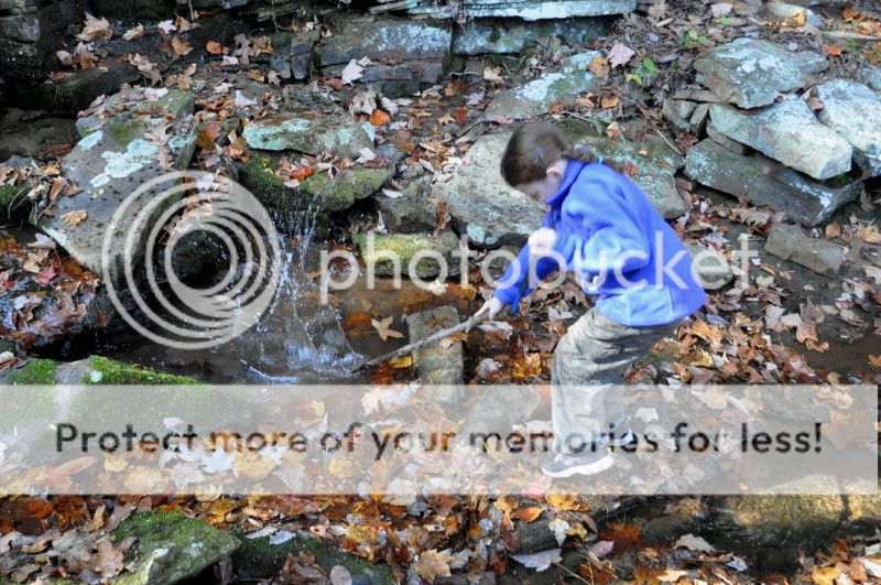 DSC_0148.jpg
