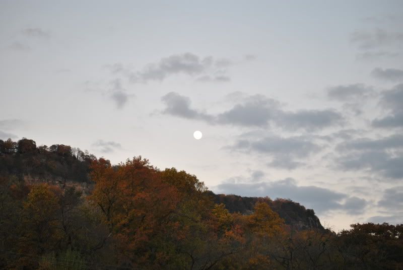 DSC_8502.jpg
