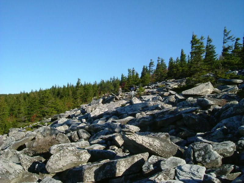 2006_1010Image0038.jpg