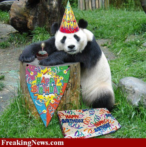 HappyBirthdayPanda.jpg