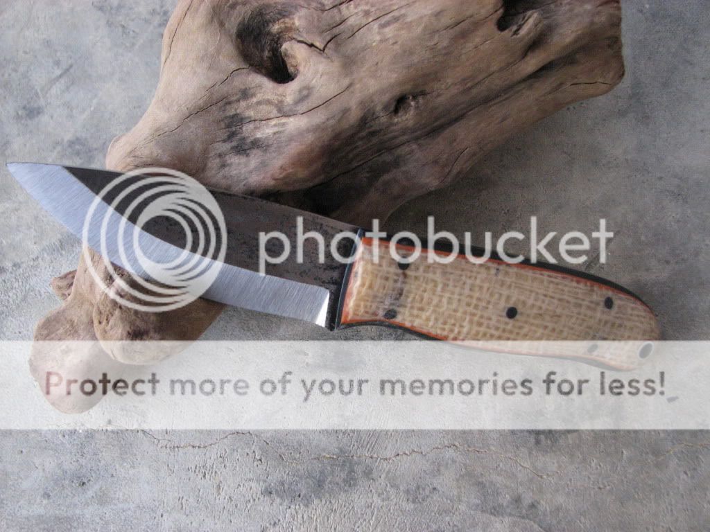 IMG_3750_zps9e0c6509.jpg