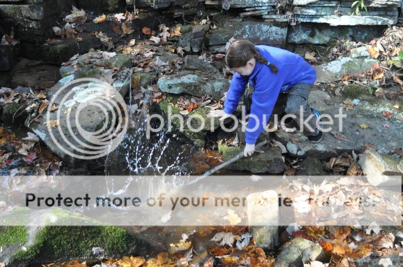 DSC_0120.jpg