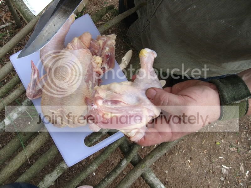 CuttingupChicken-2.jpg