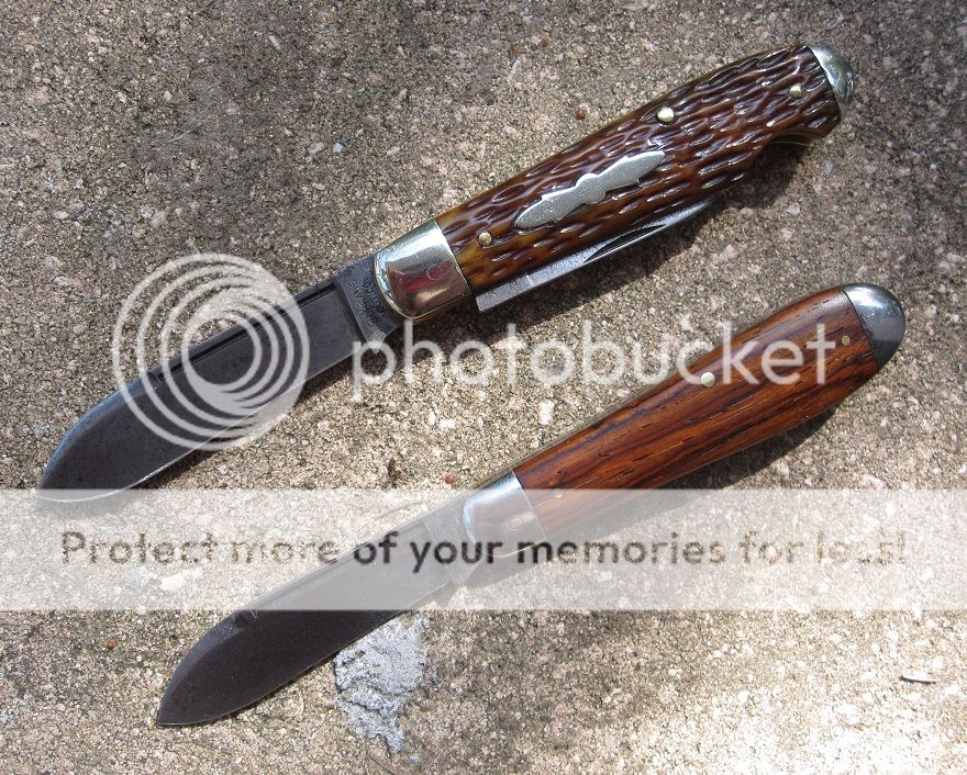 IMG_4190_zpsuna9cssy.jpg~original