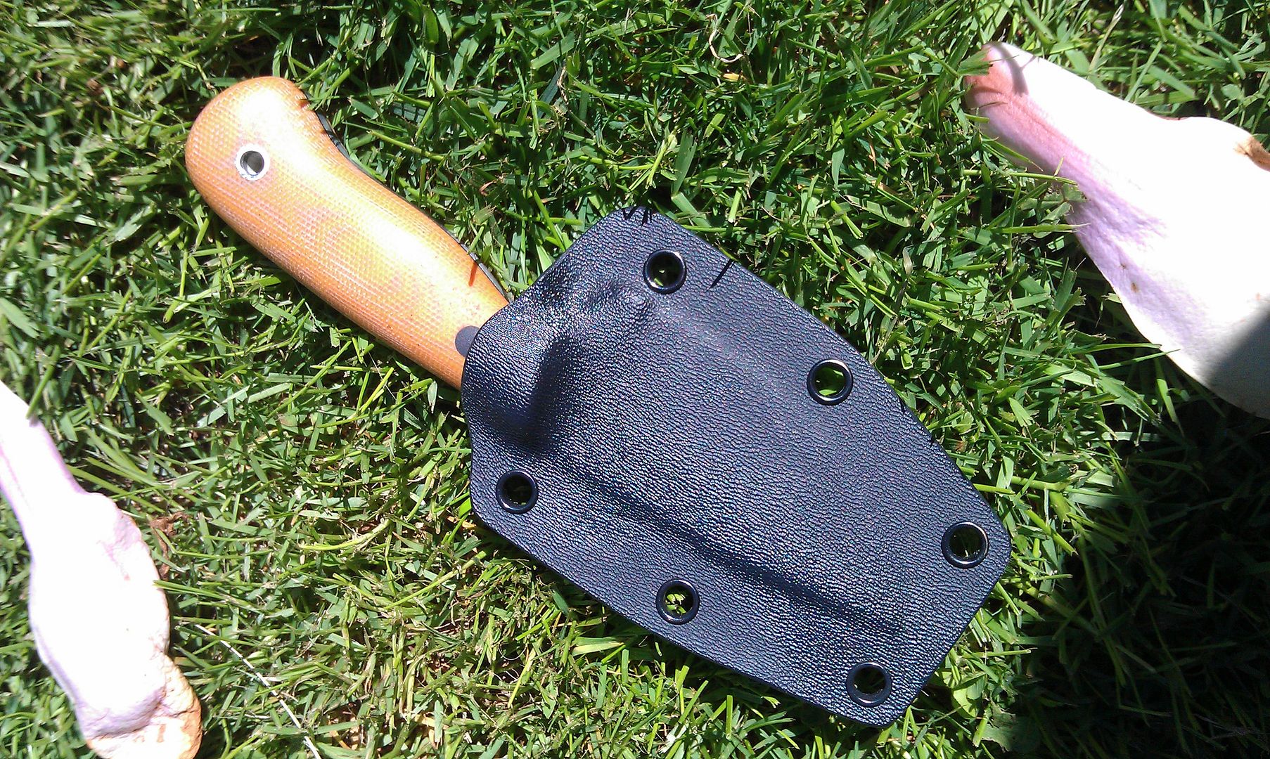 IMAG0070.jpg