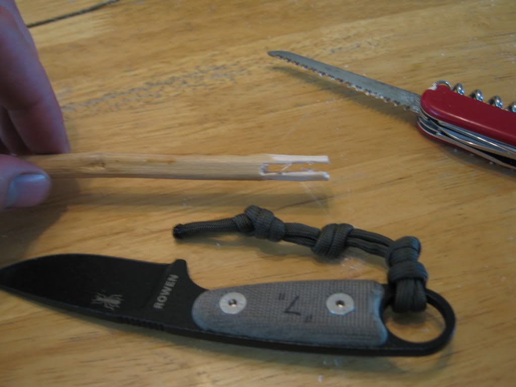 DavidsGear002.jpg