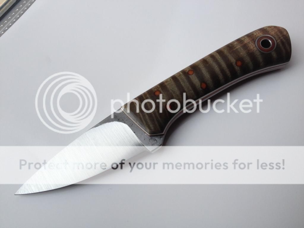 FBF3FK_06_zps483e2a04.jpg