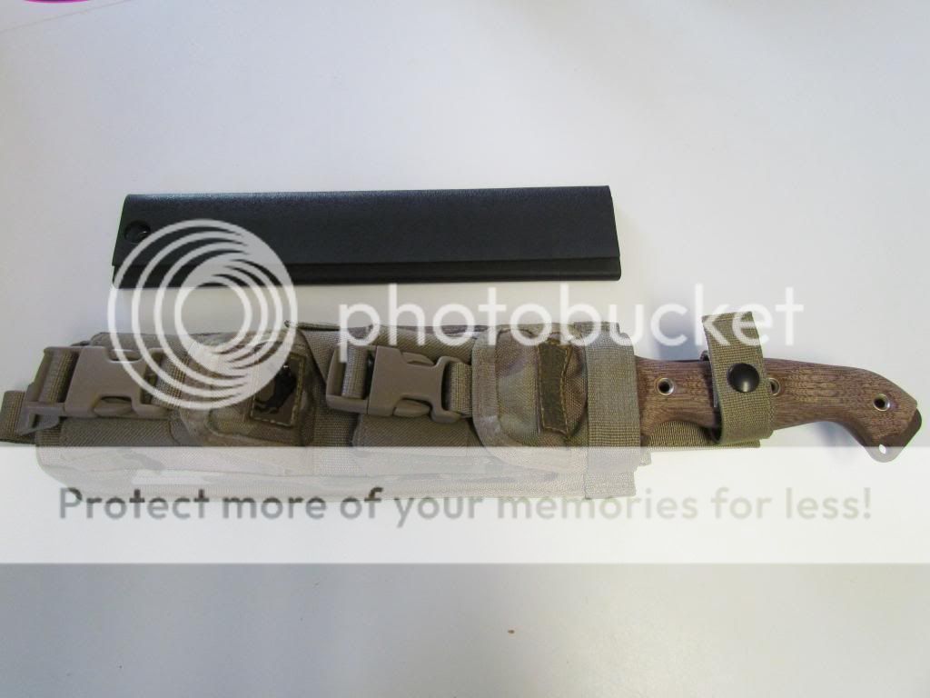 IMG_1434_zps0f5ec61b.jpg