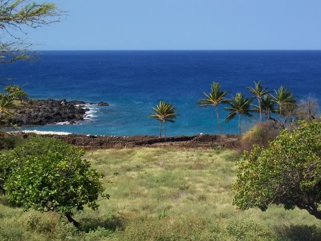 100_1079.jpg