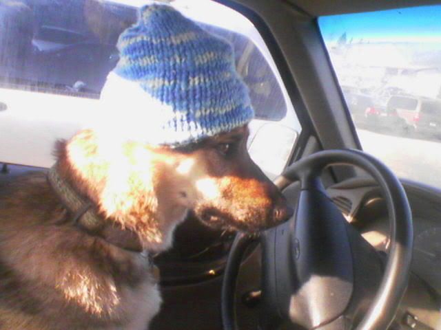toque.jpg