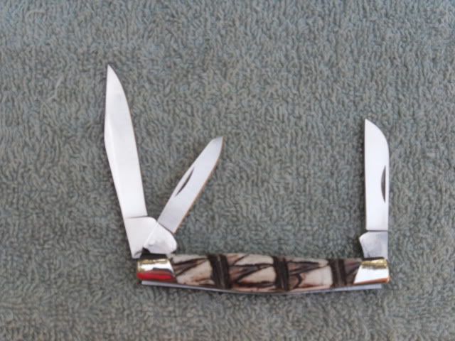 Dillo3031.jpg
