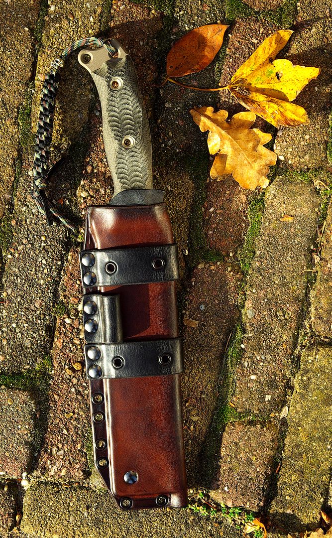 BusseNMSFNOTechnicalSheath01.jpg