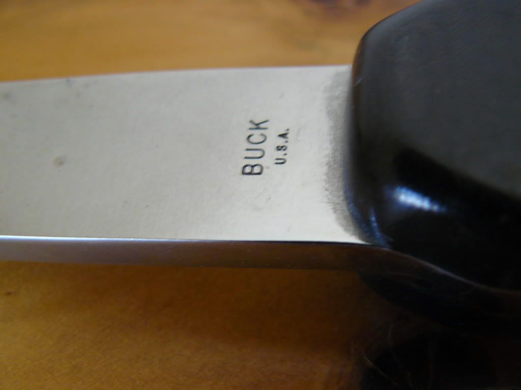 P1050357.jpg