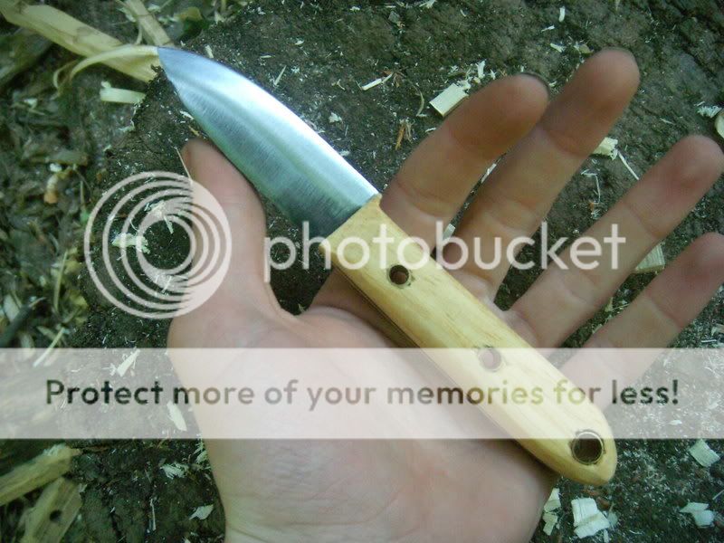 DSCN6092.jpg