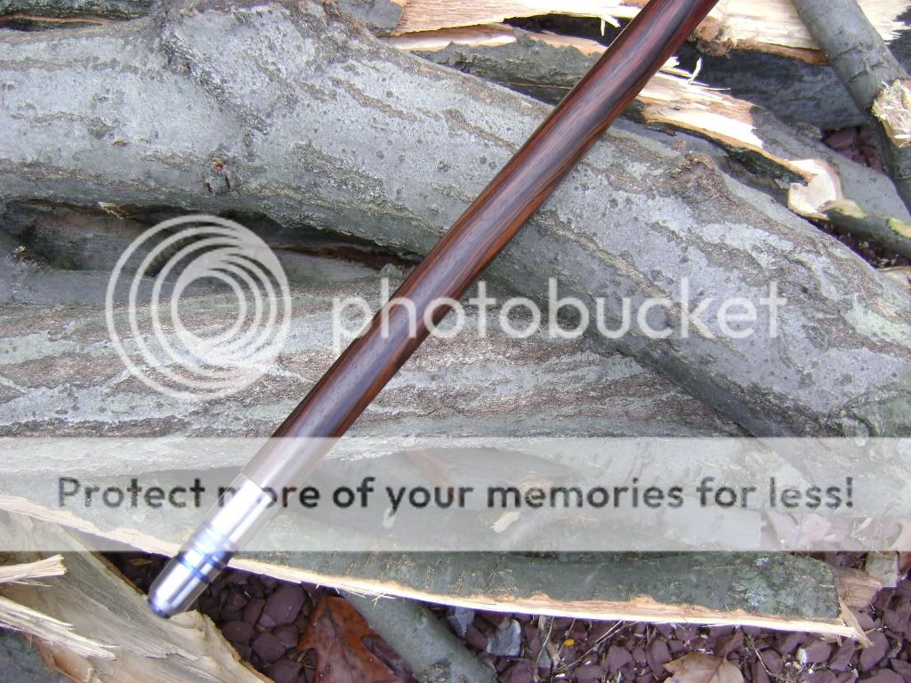 crwalkingstick006.jpg