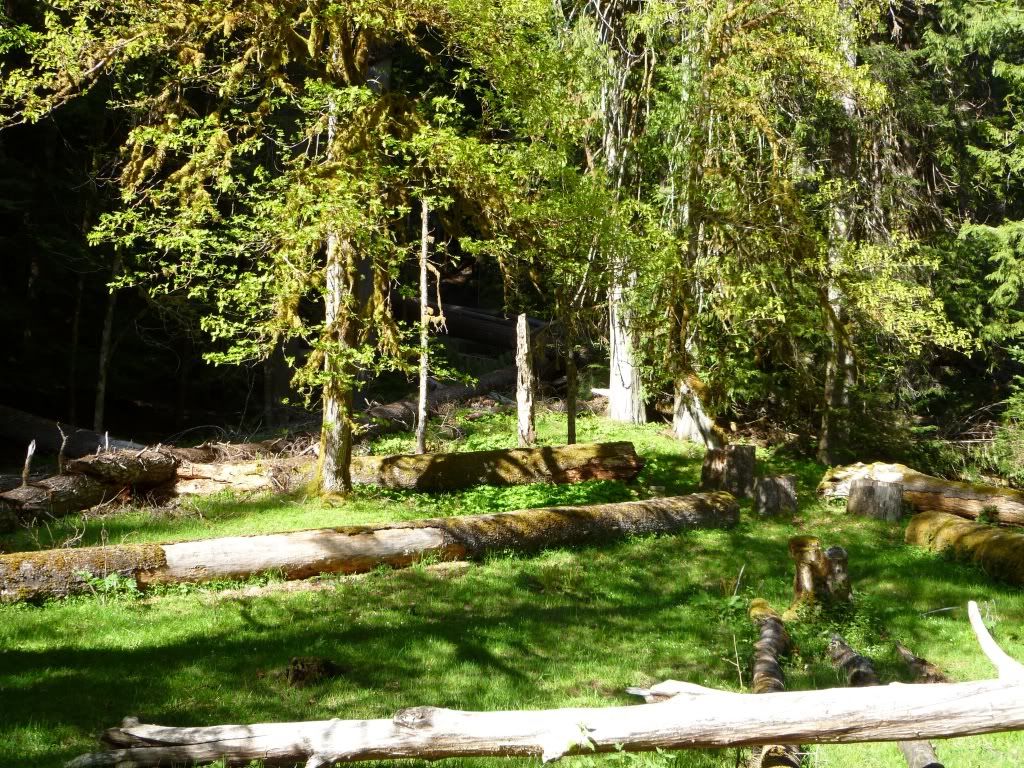 P1000286.jpg