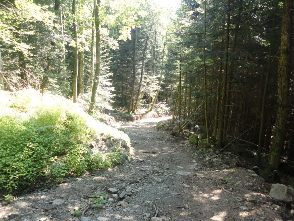 DSC01858.jpg