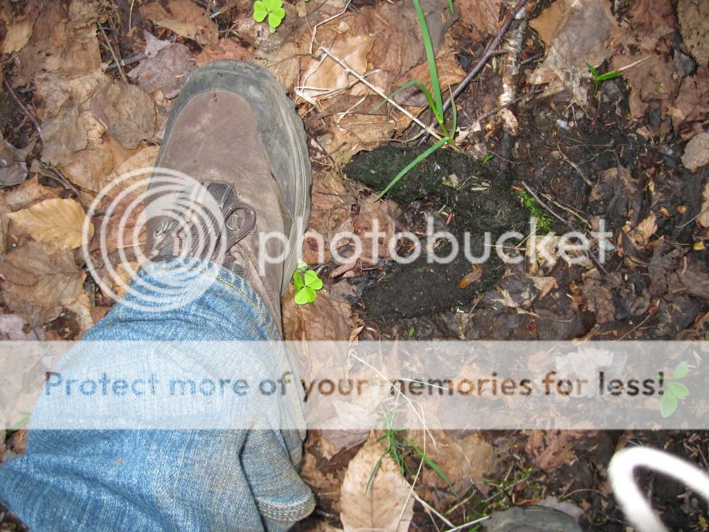IMG_1132.jpg